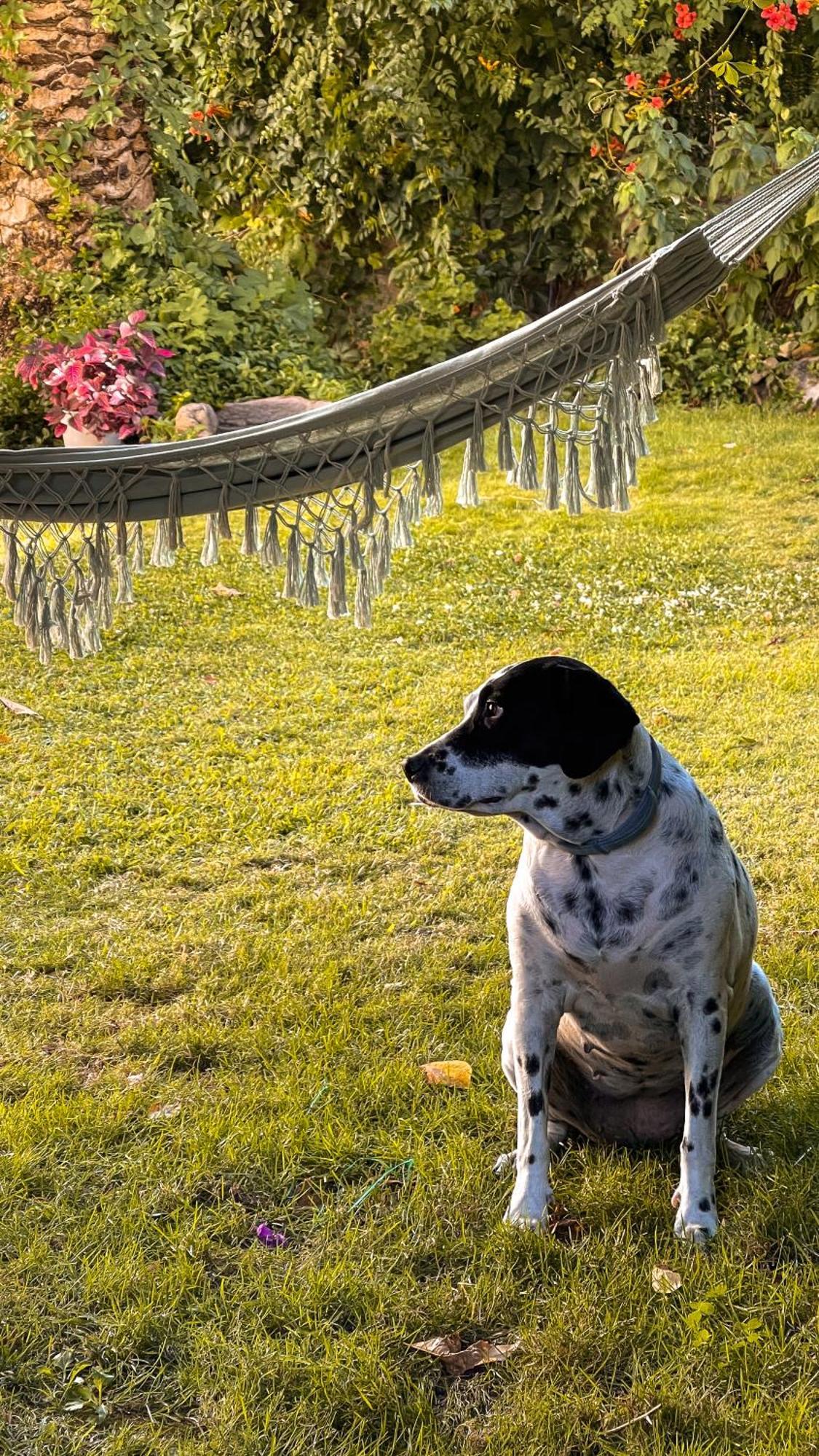 Villa Del Jerte エル・トルノ エクステリア 写真
